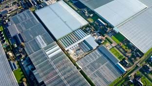 Van der Velde waterplanten - 5.120 m²