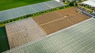 Fruit nursery van Tuyl - 34.765 m²