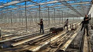 Weichselbaum - 34.080 m²