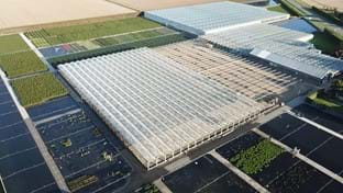 Flevo Flora - phase 1 - 9.975 m²