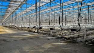 Weichselbaum - 34.080 m²