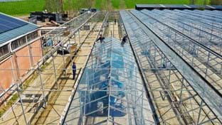 Gebroeders Kik - phase 2 - 50.143 m²