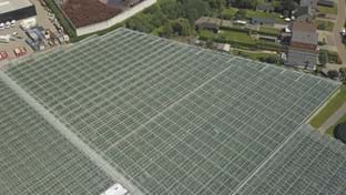 Benteltom BVBA - 17.360 m²