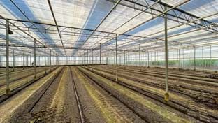 Bijnsdorp Orchideeën - Gewas rooien - 15.360 m²
