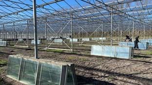 JongFresh Radijs - fase 1 - 31.844 m²