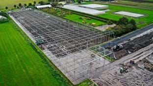 Imanse Quality Lilies - 33.732 m²