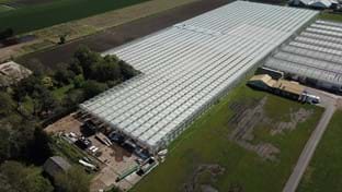 Ko Kolk Hortensia - 22.918 m²