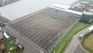 Benteltom BVBA - 17.360 m²