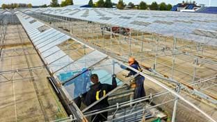 Bunnik Plants - 6.988 m²