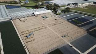 Flevo Flora - phase 1 - 9.975 m²