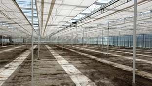 Ko Kolk Hortensia - 22.918 m²