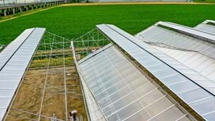 SoNatural Bleiswijk - 39.008 m²