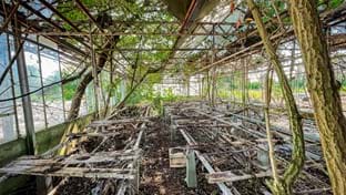 Lemwerder - 71.321 m²