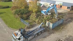 Steejo Roses - Retrait des cultures - 15.043 m²