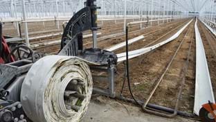 Bryte - Removing growing gutters - 28.506 m²