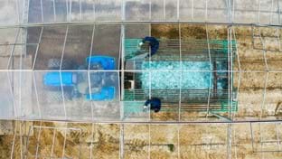 Reefresh  Crèches - 30.662 m²