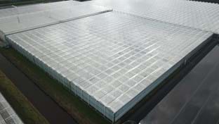 BraZander Specialty Growers - 9.936 m²