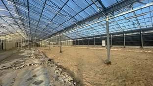 Zaandam -  Enlever le sol en béton - 5.021 m²