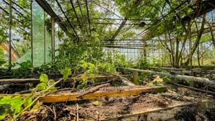 Lemwerder - 71.321 m²