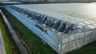 Pico Bello Hortensia - 2.821 m²