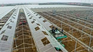 Cucumber farm Grubben - Roof renovation - 29.736 m²