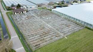 Pijnacker - Serres endommagées - 5.971 m²