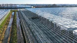 Pico Bello Hortensia - 2.821 m²