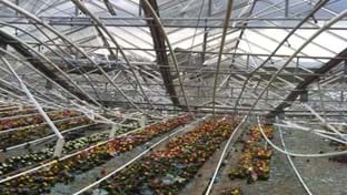 Huissen - 14.326 m²