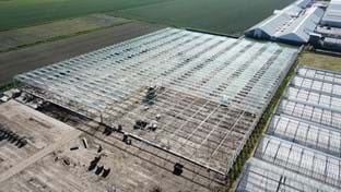 Ko Kolk Hortensia - 22.918 m²