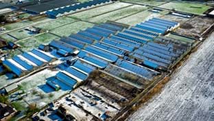 Aalsmeer - 38.308 m²