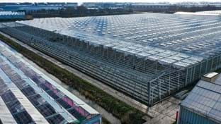 Pico Bello Hortensia - 2.821 m²