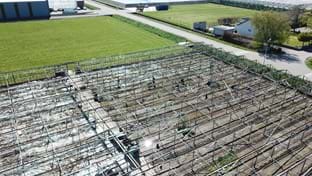 Pijnacker - Serres endommagées - 5.971 m²