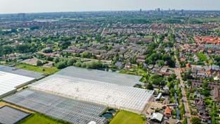 Kwekerij Mooijman - 17.100 m²