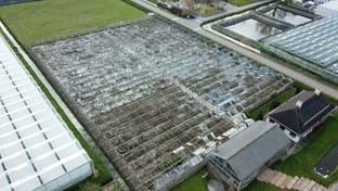 Pijnacker - Damaged greenhouse - 5.971 m²
