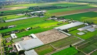 Imanse Quality Lilies - 33.732 m²