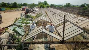 Lemwerder - 71.321 m²