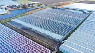 Pico Bello Hortensia - 2.821 m²