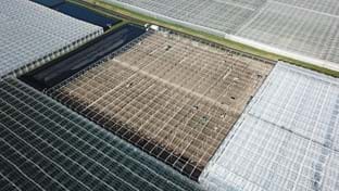 BraZander Specialty Growers - 9.936 m²