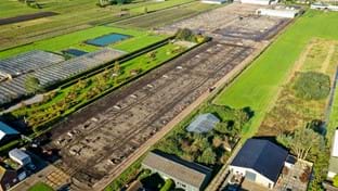 Imanse Quality Lilies - 33.732 m²