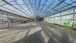 Zaandam -  Enlever le sol en béton - 5.021 m²