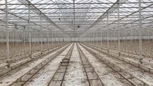 Kwekerij Vijverberg - Rénovation de serre - 110.823 m²