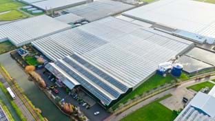 Fransen Orchids - 38.130 m²