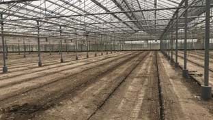 Fransen Orchids - Renovierung von Gewächshäusern - 25.176 m²