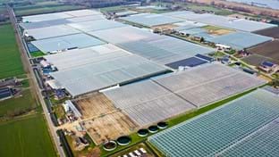 Chrywijk - 51.160 m²