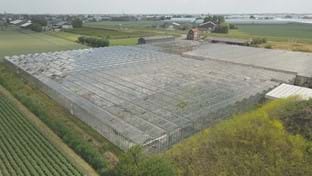 Moerkapelle - 12.593 m²