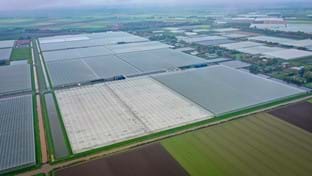 Hoogweg Paprikakwekerijen - kasrenovatie - 540.750 m²