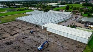 Imanse Quality Lilies - 33.732 m²