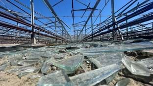 Pijnacker - Serres endommagées - 5.971 m²