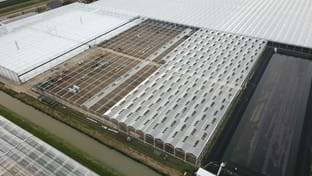 BraZander Specialty Growers - 9.936 m²