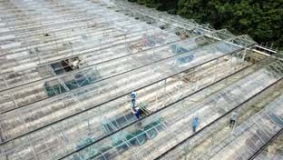 De Scheg - 22.542 m²